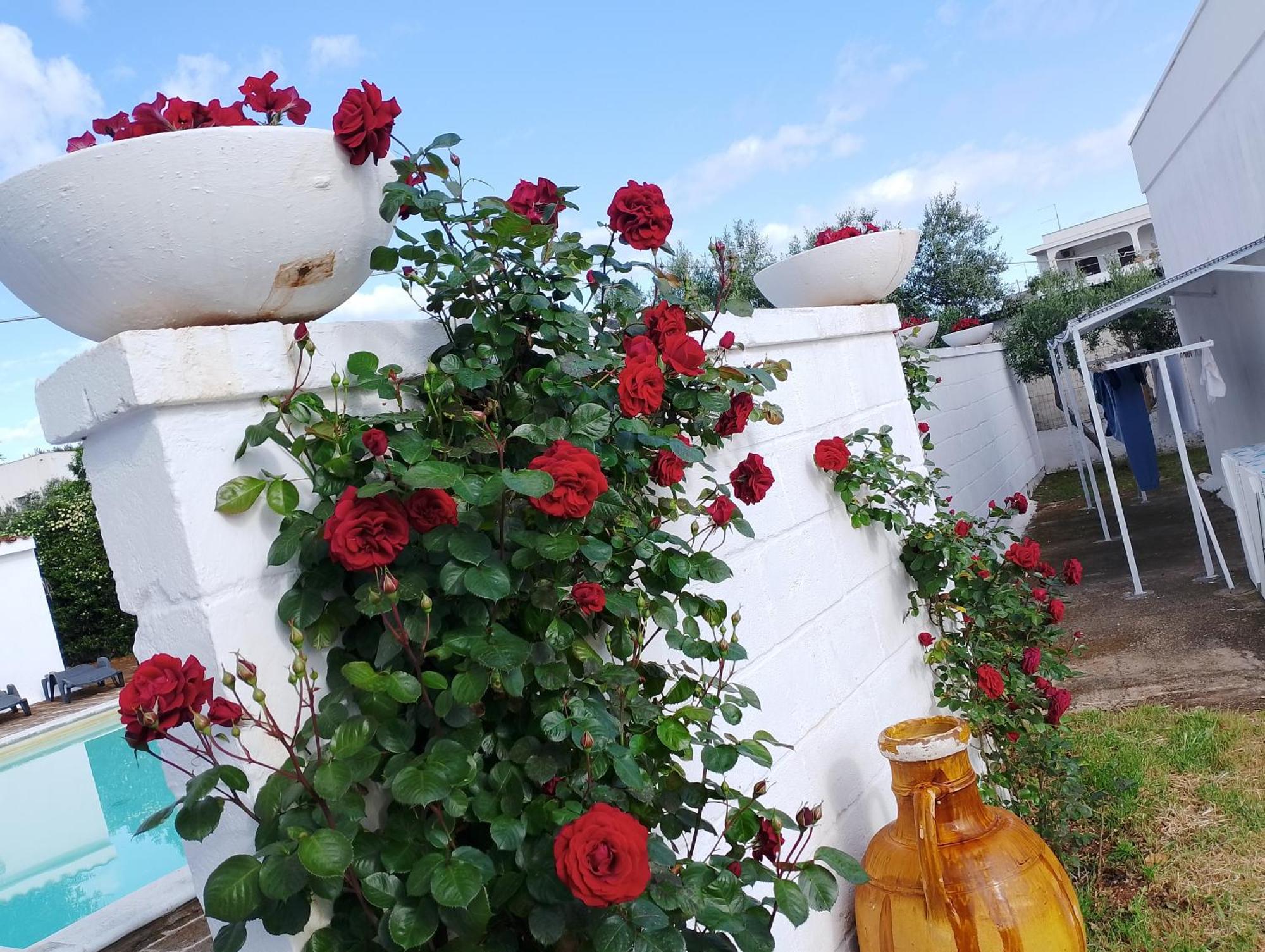 La Dimora Di Nonna Giuliana Hotel Ostuni Luaran gambar