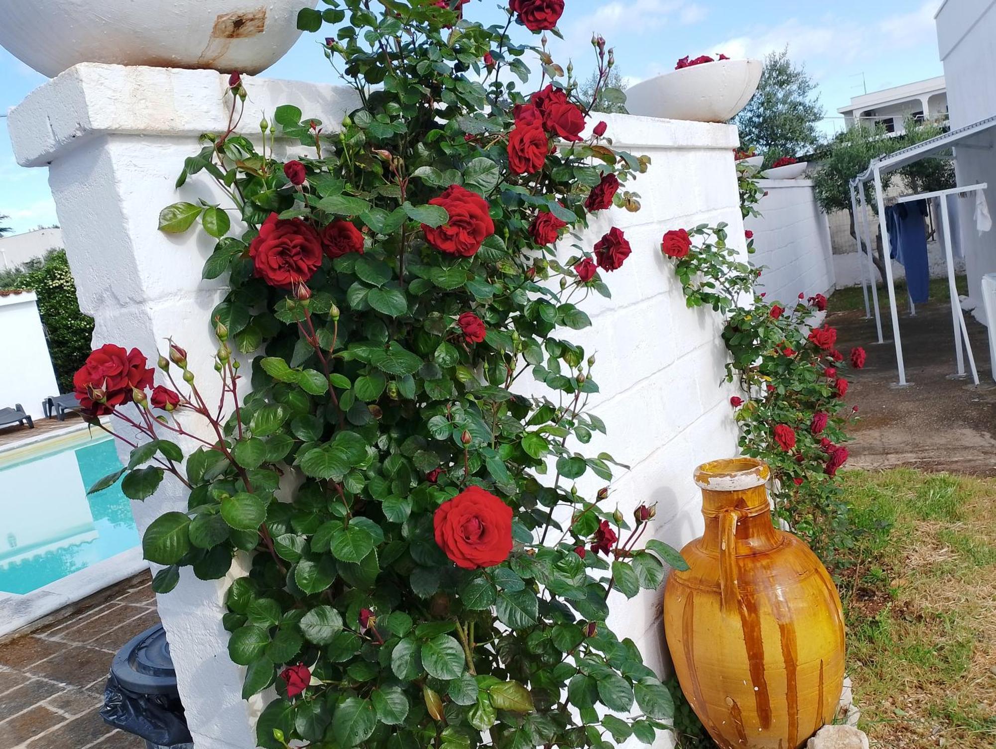 La Dimora Di Nonna Giuliana Hotel Ostuni Luaran gambar